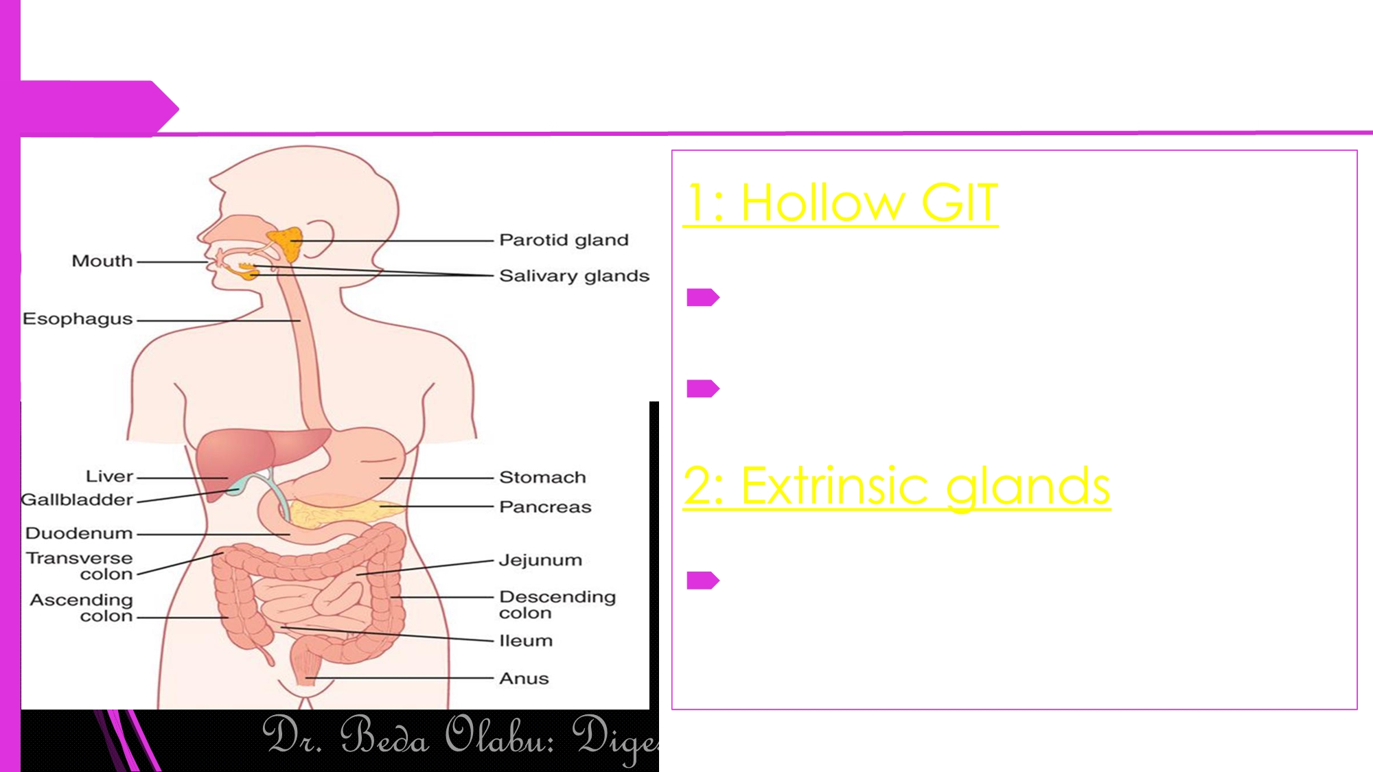 No preview available